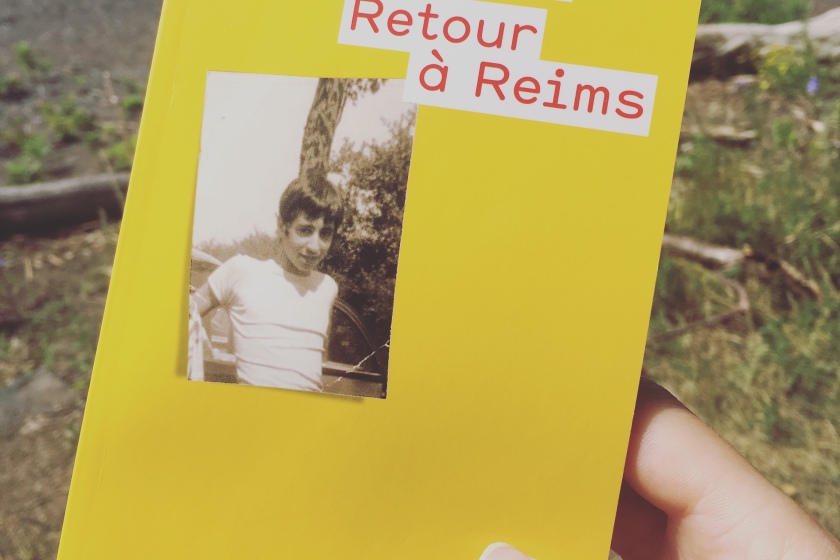 Didier Eribon, REtour à REims, Annie Ernaux, Elena Ferrante, Classes sociales, sociologie, littérature, bibliothérapie