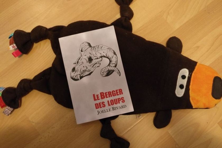 Le Berger des loups, Joelle Rivard, autofinancement, littérature québécoise, littérature fantastique