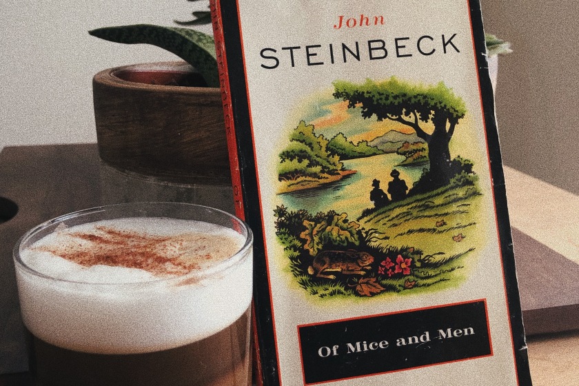 Le fil rouge, le fil rouge lit, bibliothérapie, littérature, lecture, livres, les livres qui font du bien, des souris et des hommes, Of mice and men, John Steinbeck, Penguin books, mort, amitié, déficience, amour